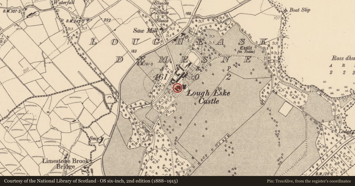 Ordnance Survey six-inch map, 2nd edition (1888–1915) covering the location of Inscribed stone, Lougheask Demesne, County Donegal, with a pin at the register's coordinates