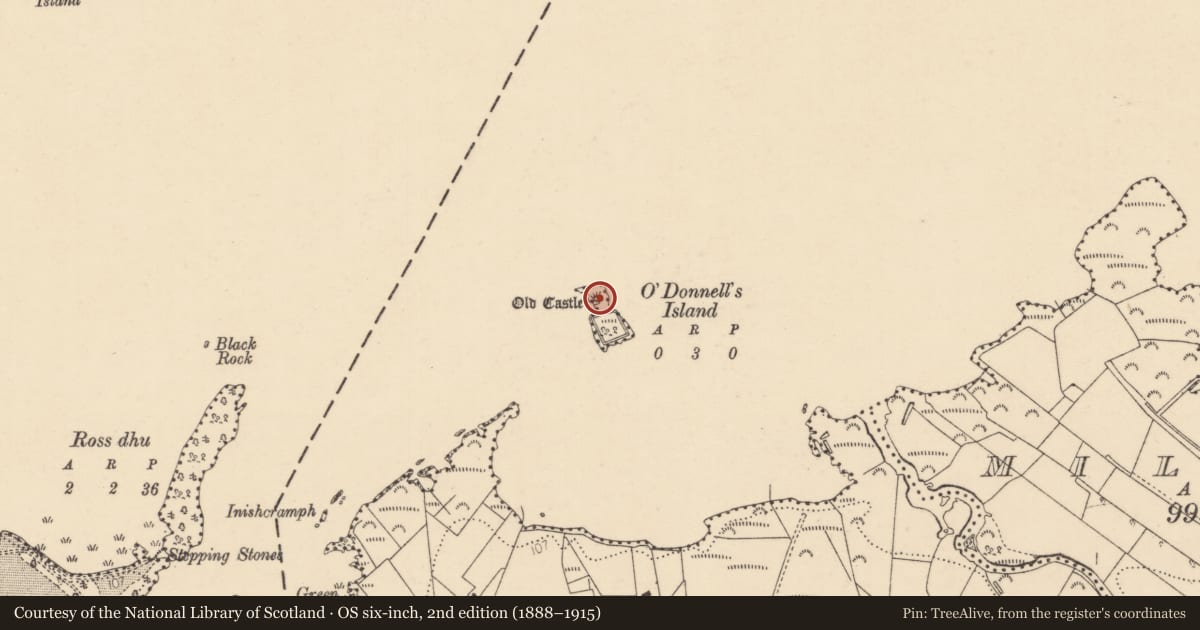 Ordnance Survey six-inch map, 2nd edition (1888–1915) covering the location of Castle - unclassified, An Chorrmhín (TC An Clochar), County Donegal, with a pin at the register's coordinates