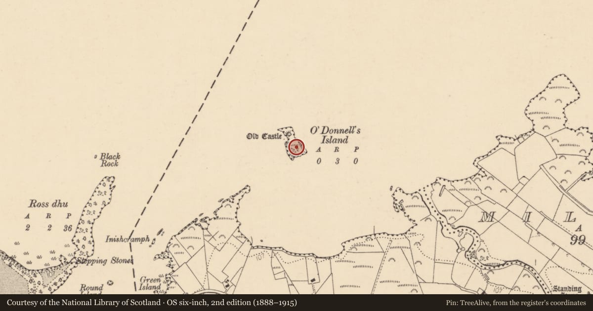 Ordnance Survey six-inch map, 2nd edition (1888–1915) covering the location of Bawn, An Chorrmhín (TC An Clochar), County Donegal, with a pin at the register's coordinates