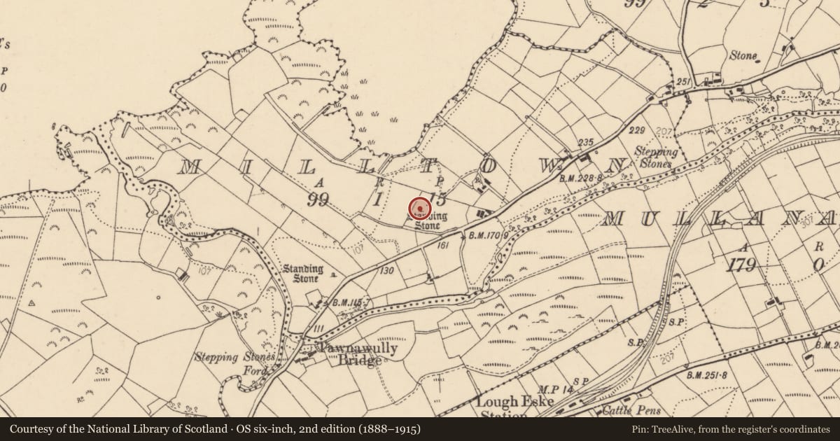 Ordnance Survey six-inch map, 2nd edition (1888–1915) covering the location of Standing stone, Milltown, County Donegal, with a pin at the register's coordinates