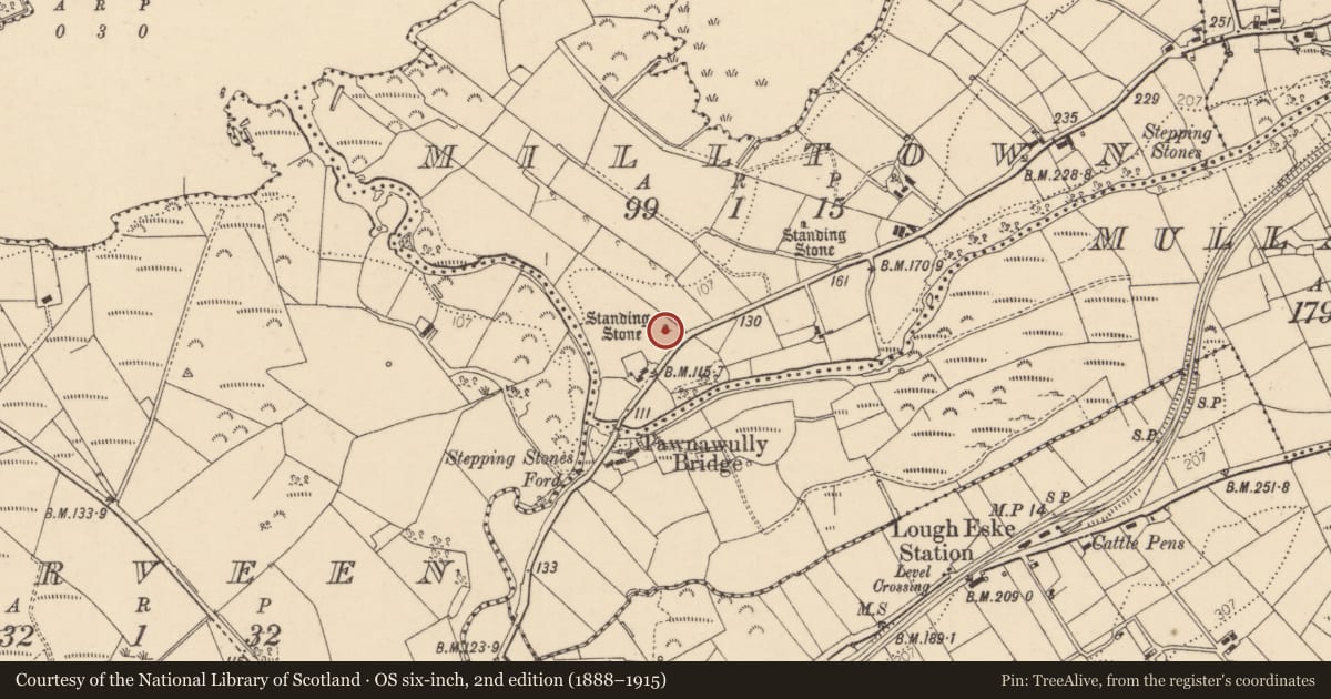 Ordnance Survey six-inch map, 2nd edition (1888–1915) covering the location of Standing stone, Milltown, County Donegal, with a pin at the register's coordinates