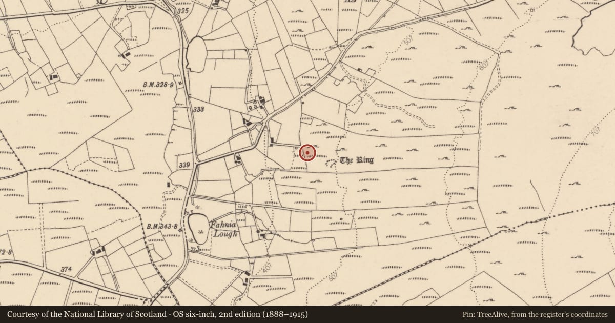 Ordnance Survey six-inch map, 2nd edition (1888–1915) covering the location of Standing stone, Clogher, County Donegal, with a pin at the register's coordinates