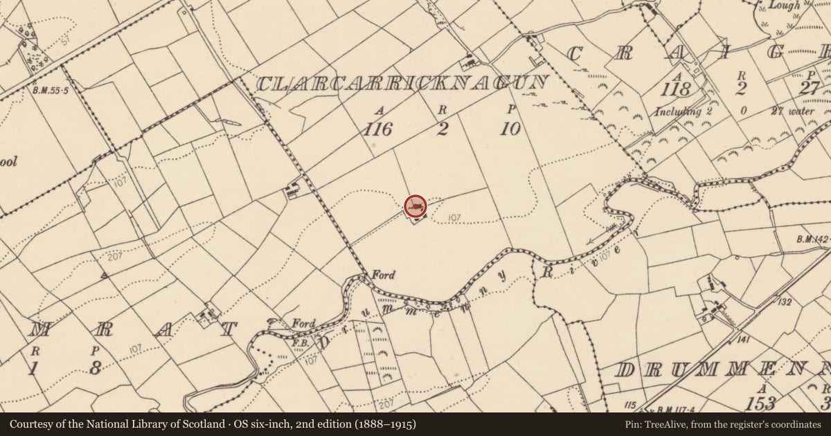 Ordnance Survey six-inch map, 2nd edition (1888–1915) covering the location of Standing stone - pair, Clarcarricknagun, County Donegal, with a pin at the register's coordinates