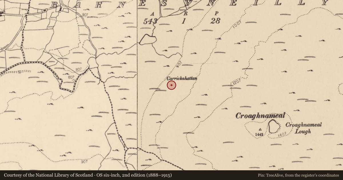 Ordnance Survey six-inch map, 2nd edition (1888–1915) covering the location of Standing stone - pair, Barnesyneilly, County Donegal, with a pin at the register's coordinates