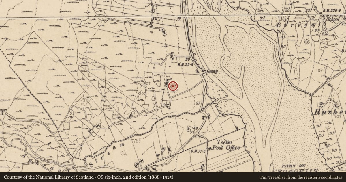 Ordnance Survey six-inch map, 2nd edition (1888–1915) covering the location of Ringfort - rath, An Tatharach, County Donegal, with a pin at the register's coordinates