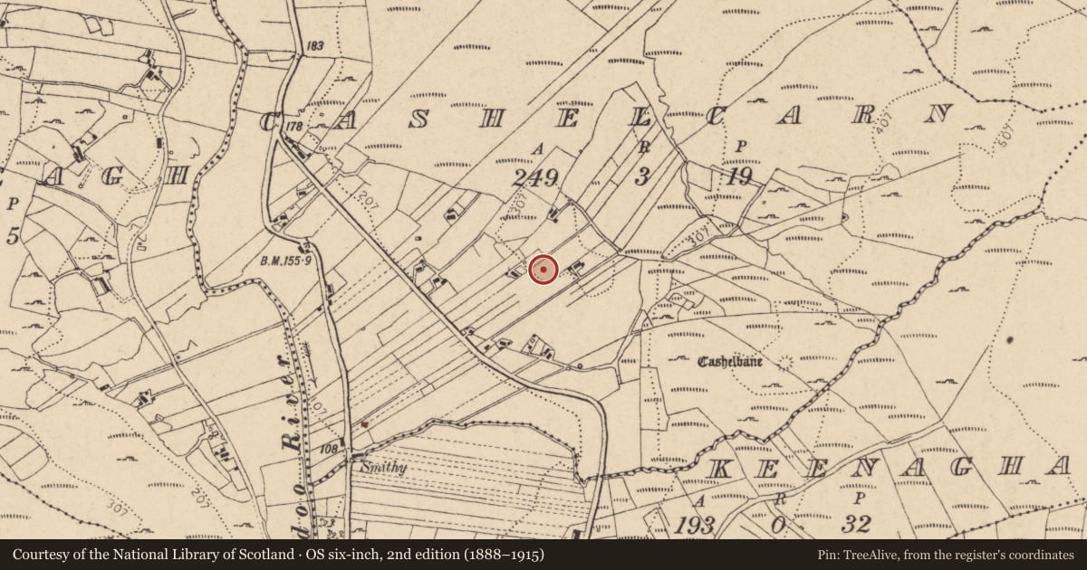 Ordnance Survey six-inch map, 2nd edition (1888–1915) covering the location of Ringfort - cashel, Caiseal Charna, County Donegal, with a pin at the register's coordinates