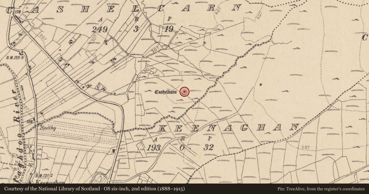 Ordnance Survey six-inch map, 2nd edition (1888–1915) covering the location of Ringfort - cashel, Caiseal Charna, County Donegal, with a pin at the register's coordinates