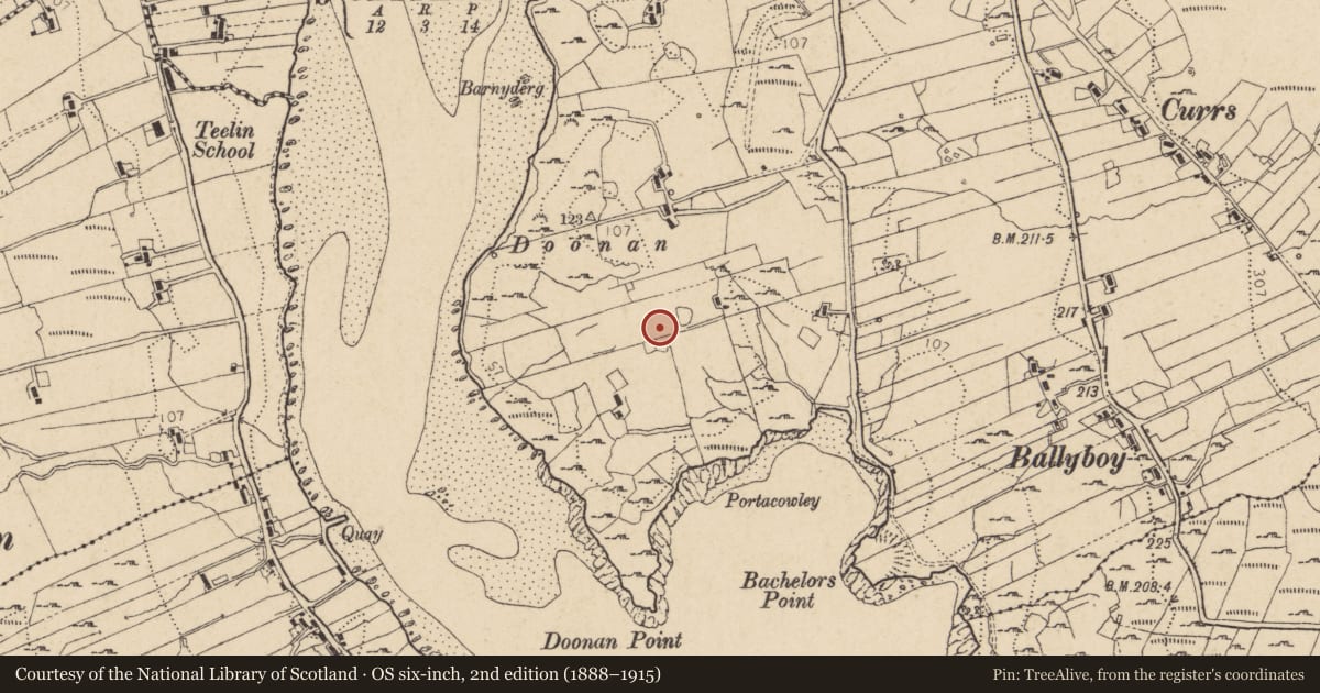 Ordnance Survey six-inch map, 2nd edition (1888–1915) covering the location of Cross-inscribed stone, Doire Leathan, County Donegal, with a pin at the register's coordinates