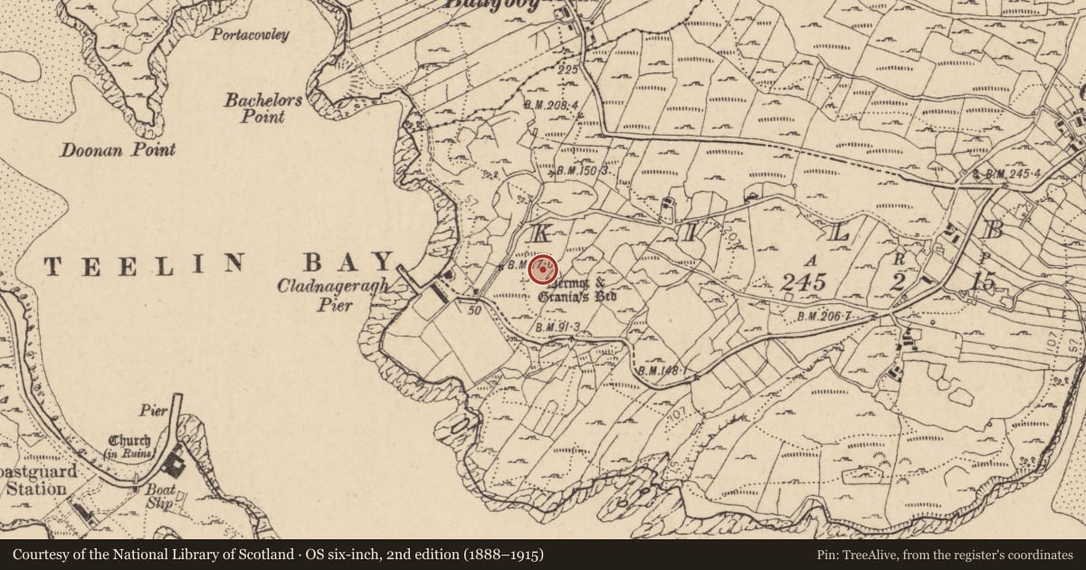 Ordnance Survey six-inch map, 2nd edition (1888–1915) covering the location of Megalithic tomb - wedge tomb, An Chill Bheag, County Donegal, with a pin at the register's coordinates