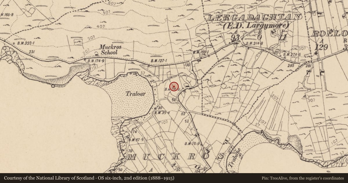 Ordnance Survey six-inch map, 2nd edition (1888–1915) covering the location of Burial ground, Mucros (TC An Leargaidh Mhór), County Donegal, with a pin at the register's coordinates