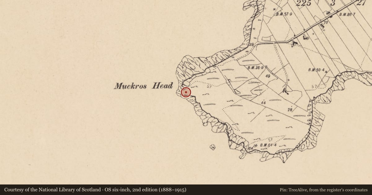 Ordnance Survey six-inch map, 2nd edition (1888–1915) covering the location of Promontory fort - coastal, Mucros (TC An Leargaidh Mhór), County Donegal, with a pin at the register's coordinates