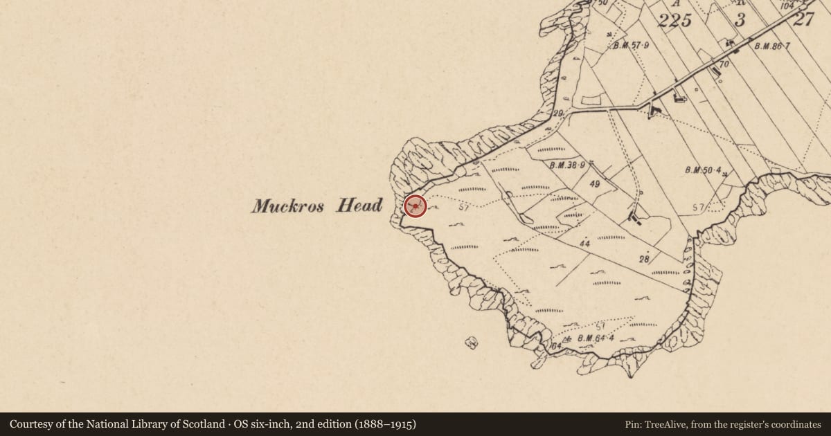 Ordnance Survey six-inch map, 2nd edition (1888–1915) covering the location of Midden, Mucros (TC An Leargaidh Mhór), County Donegal, with a pin at the register's coordinates
