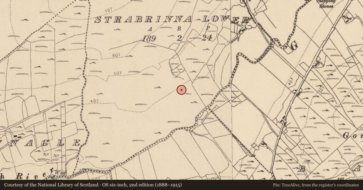 Ordnance Survey six-inch map, 2nd edition (1888–1915) covering the location of Stone circle, Srath Bruithne Íochtarach, County Donegal, with a pin at the register's coordinates