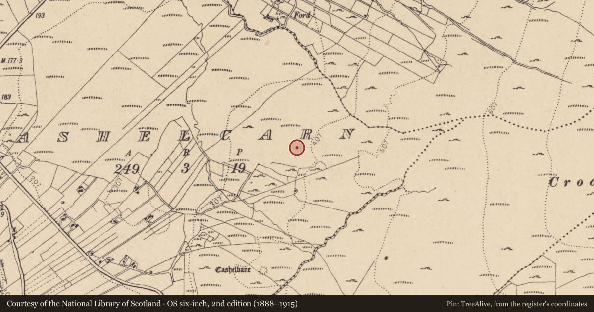 Ordnance Survey six-inch map, 2nd edition (1888–1915) covering the location of Leacht, Caiseal Charna, County Donegal, with a pin at the register's coordinates