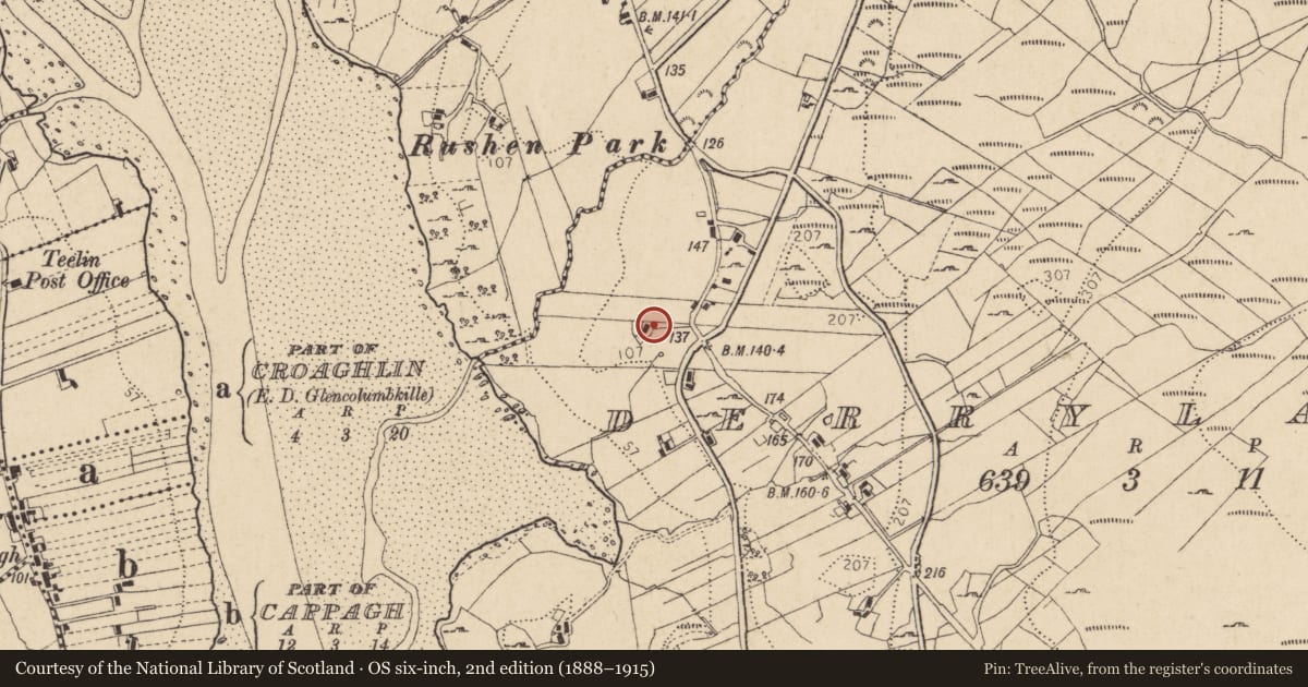Ordnance Survey six-inch map, 2nd edition (1888–1915) covering the location of Bullaun stone, Doire Leathan, County Donegal, with a pin at the register's coordinates