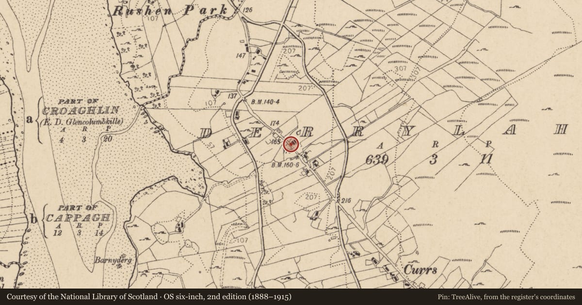 Ordnance Survey six-inch map, 2nd edition (1888–1915) covering the location of Bullaun stone, Doire Leathan, County Donegal, with a pin at the register's coordinates