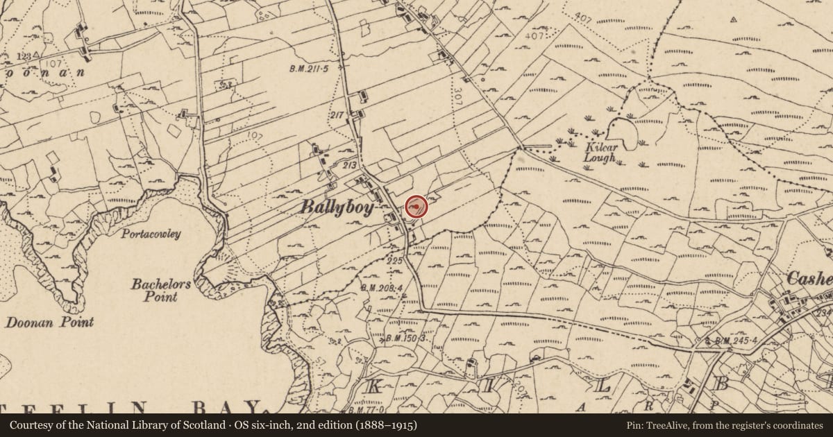 Ordnance Survey six-inch map, 2nd edition (1888–1915) covering the location of Mass-rock, Doire Leathan, County Donegal, with a pin at the register's coordinates