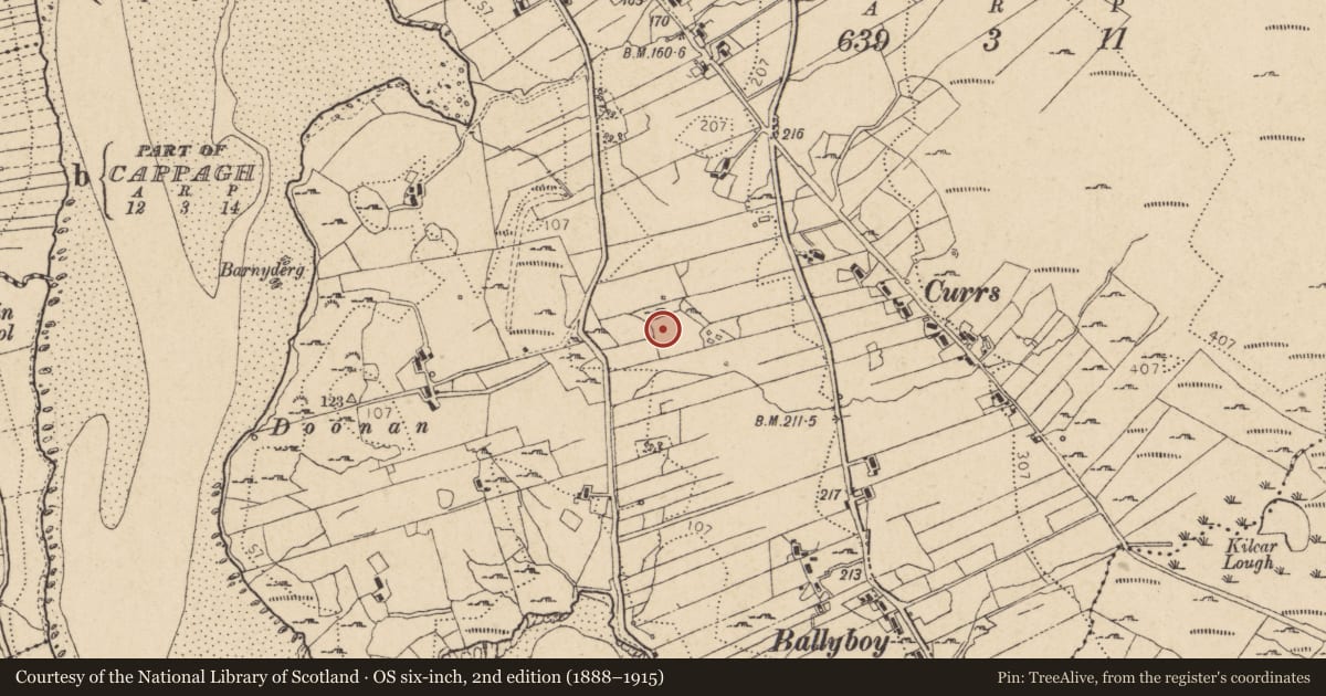Ordnance Survey six-inch map, 2nd edition (1888–1915) covering the location of Standing stone, Doire Leathan, County Donegal, with a pin at the register's coordinates