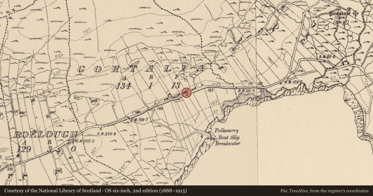 Ordnance Survey six-inch map, 2nd edition (1888–1915) covering the location of Bullaun stone, Goirt Sháile, County Donegal, with a pin at the register's coordinates