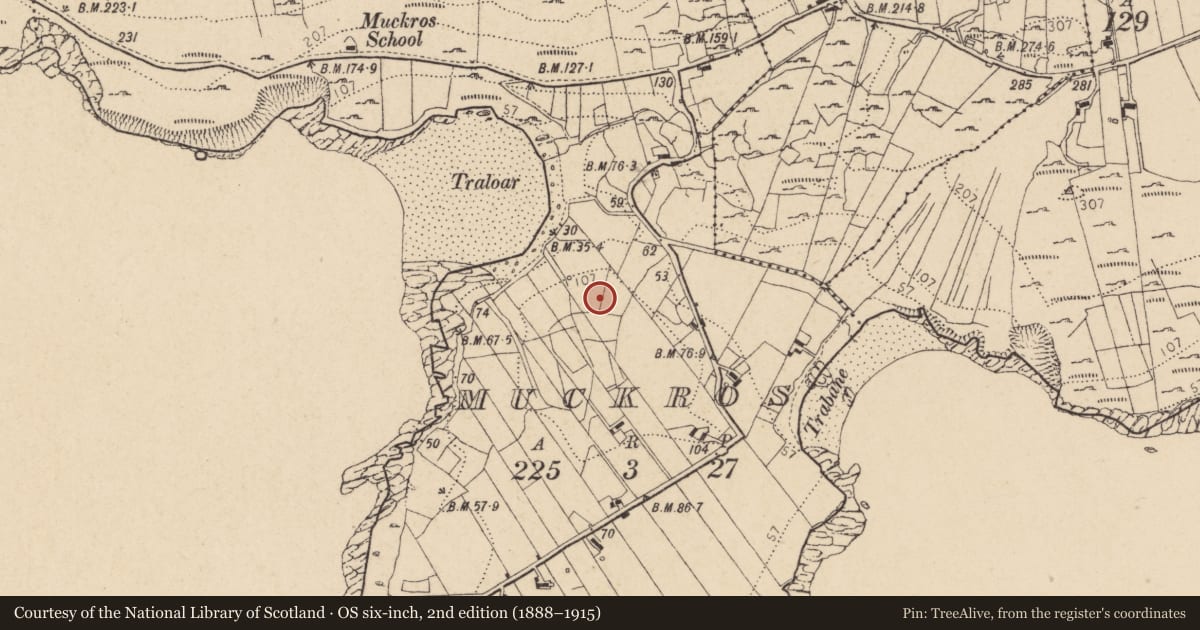 Ordnance Survey six-inch map, 2nd edition (1888–1915) covering the location of Mass-rock, Mucros (TC An Leargaidh Mhór), County Donegal, with a pin at the register's coordinates