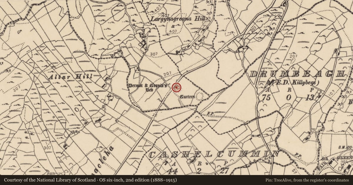 Ordnance Survey six-inch map, 2nd edition (1888–1915) covering the location of Souterrain, Largynagreana, County Donegal, with a pin at the register's coordinates