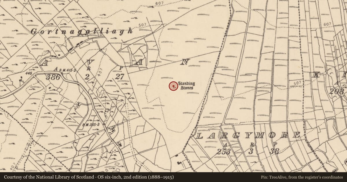 Ordnance Survey six-inch map, 2nd edition (1888–1915) covering the location of Standing stone, Bavan, County Donegal, with a pin at the register's coordinates