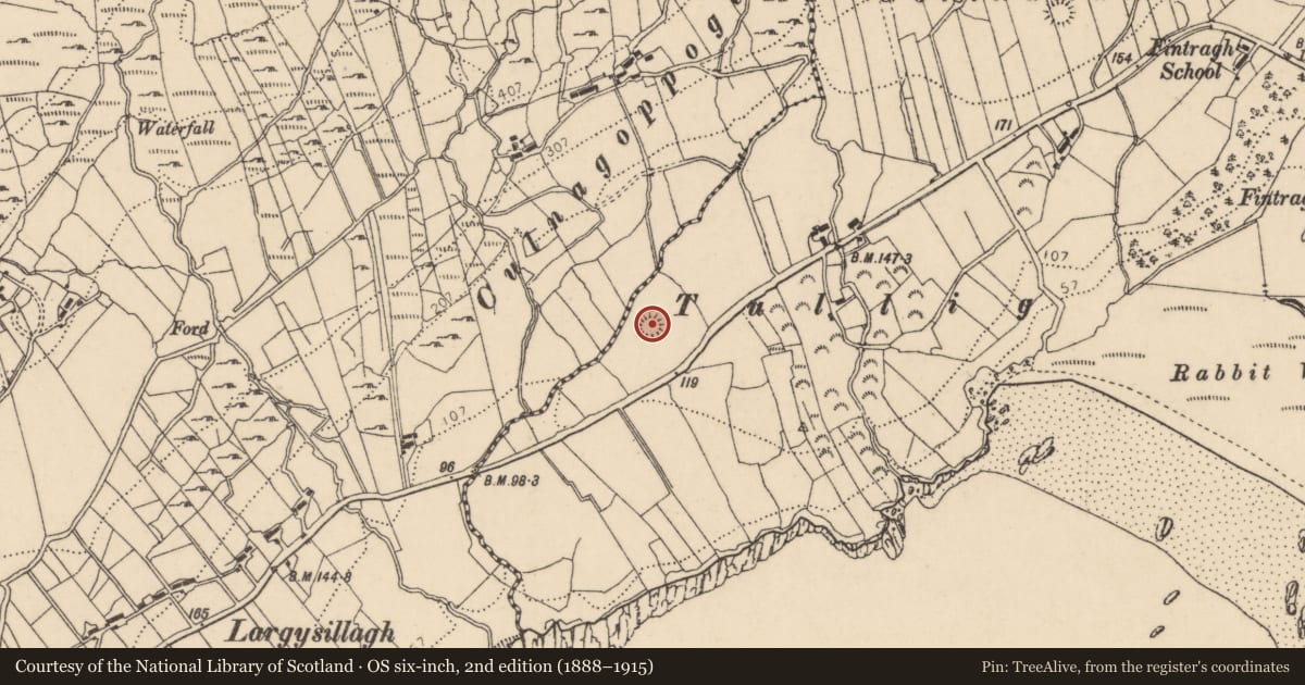 Ordnance Survey six-inch map, 2nd edition (1888–1915) covering the location of Ringfort - rath, Fintragh, County Donegal, with a pin at the register's coordinates