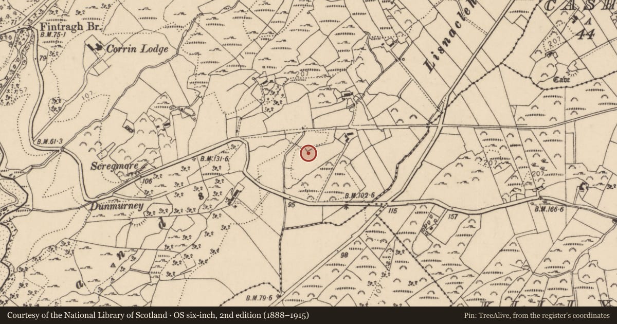 Ordnance Survey six-inch map, 2nd edition (1888–1915) covering the location of Souterrain, Fintragh, County Donegal, with a pin at the register's coordinates