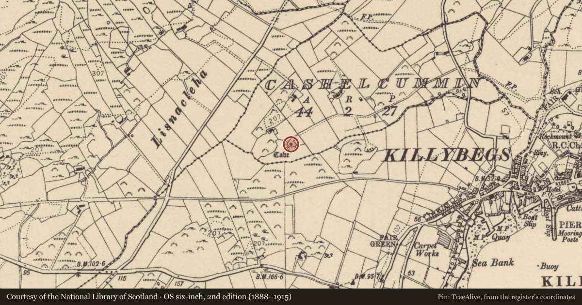 Ordnance Survey six-inch map, 2nd edition (1888–1915) covering the location of Megalithic tomb - court tomb, Cashelcummin, County Donegal, with a pin at the register's coordinates