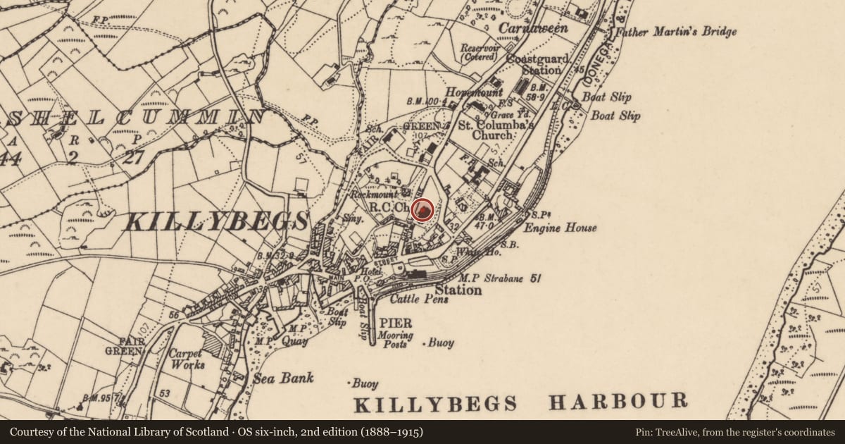 Ordnance Survey six-inch map, 2nd edition (1888–1915) covering the location of Architectural fragment, Corporation, County Donegal, with a pin at the register's coordinates