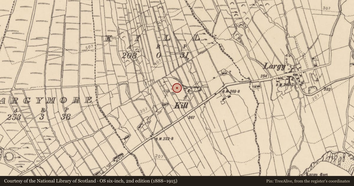 Ordnance Survey six-inch map, 2nd edition (1888–1915) covering the location of Bullaun stone, Kill, County Donegal, with a pin at the register's coordinates
