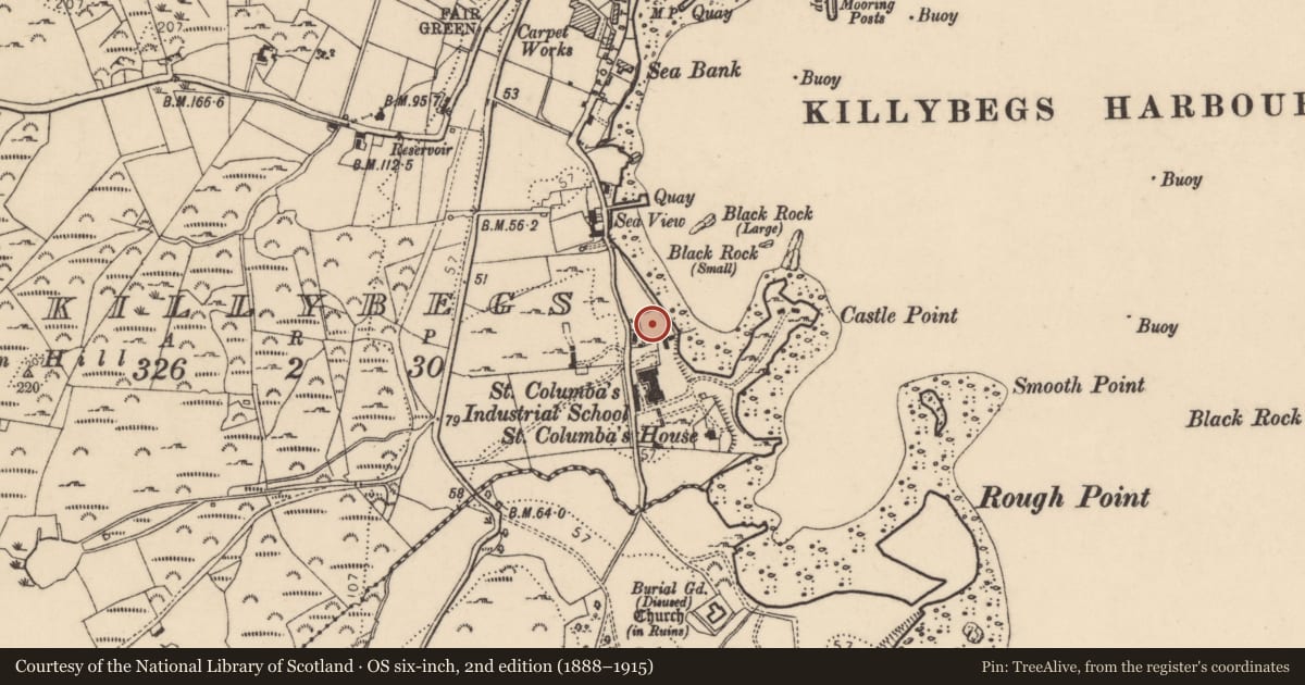 Ordnance Survey six-inch map, 2nd edition (1888–1915) covering the location of House - medieval, Killybegs, County Donegal, with a pin at the register's coordinates