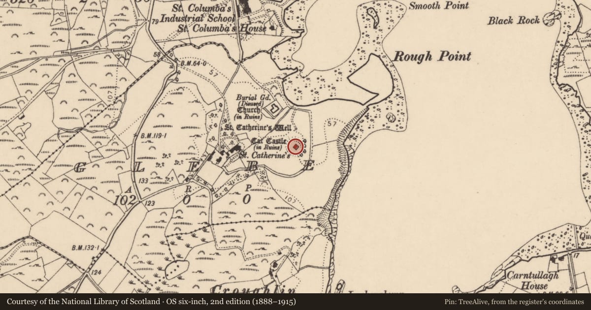 Ordnance Survey six-inch map, 2nd edition (1888–1915) covering the location of Castle - tower house, Glebe, County Donegal, with a pin at the register's coordinates