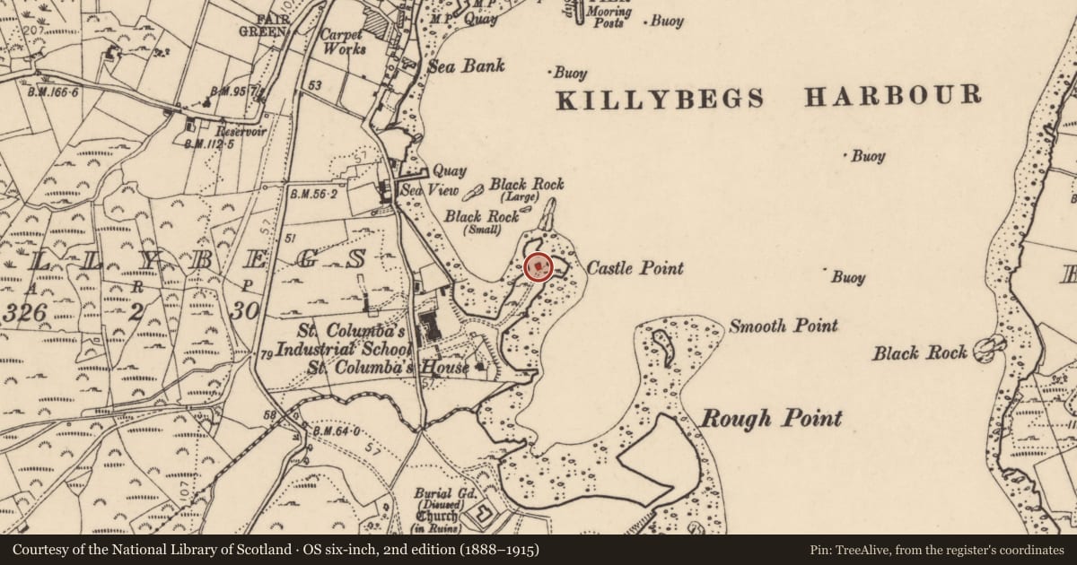 Ordnance Survey six-inch map, 2nd edition (1888–1915) covering the location of Bawn, Killybegs, County Donegal, with a pin at the register's coordinates