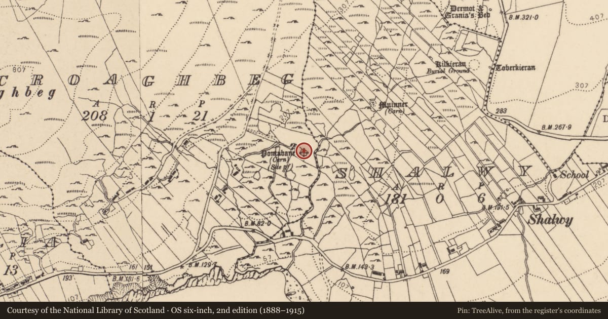 Ordnance Survey six-inch map, 2nd edition (1888–1915) covering the location of Megalithic tomb - court tomb, An Chruach Bheag, County Donegal, with a pin at the register's coordinates
