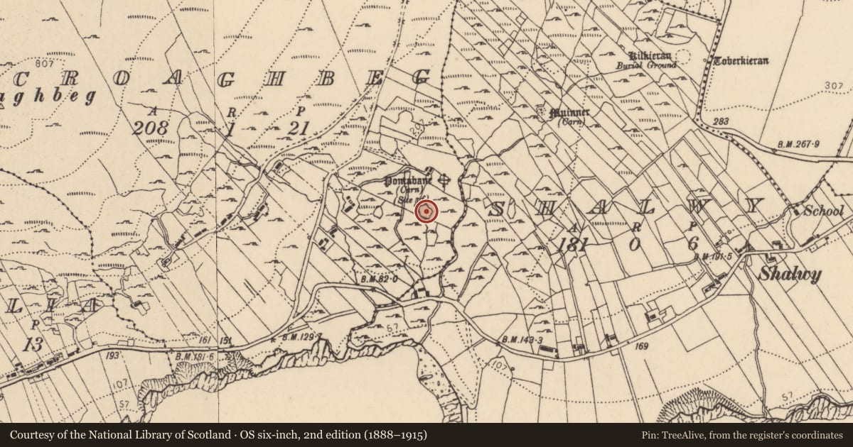 Ordnance Survey six-inch map, 2nd edition (1888–1915) covering the location of Enclosure, An Chruach Bheag, County Donegal, with a pin at the register's coordinates