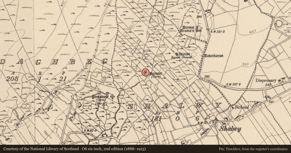 Ordnance Survey six-inch map, 2nd edition (1888–1915) covering the location of Megalithic tomb - court tomb, Shalwy, County Donegal, with a pin at the register's coordinates