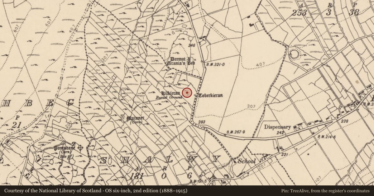 Ordnance Survey six-inch map, 2nd edition (1888–1915) covering the location of Burial ground, Shalwy, County Donegal, with a pin at the register's coordinates