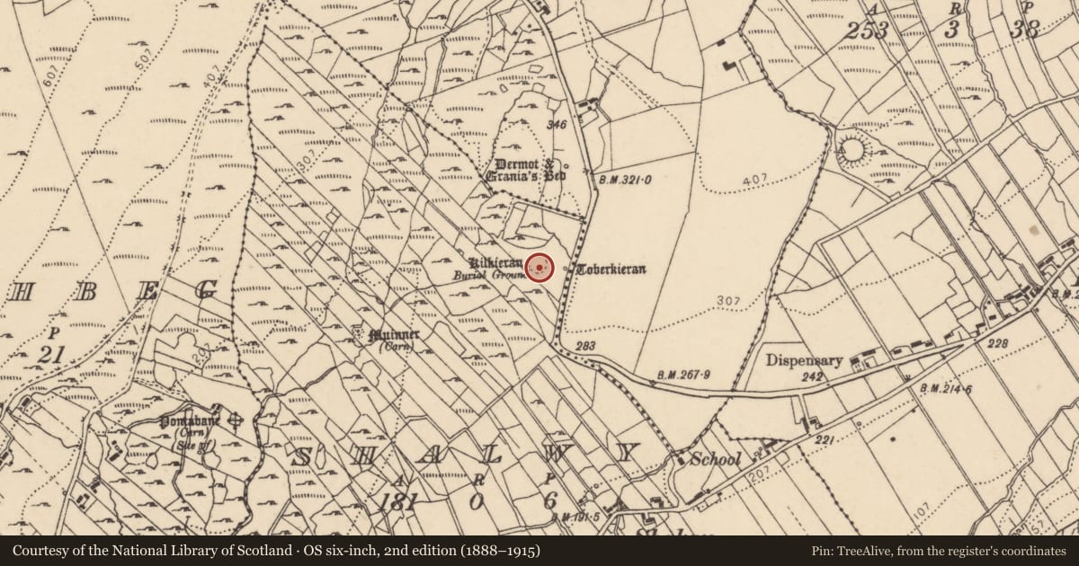 Ordnance Survey six-inch map, 2nd edition (1888–1915) covering the location of Bullaun stone, Shalwy, County Donegal, with a pin at the register's coordinates