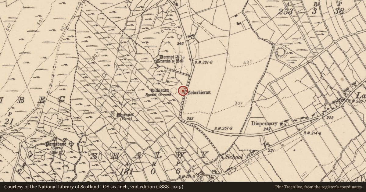 Ordnance Survey six-inch map, 2nd edition (1888–1915) covering the location of Ritual site - holy well, Shalwy, County Donegal, with a pin at the register's coordinates