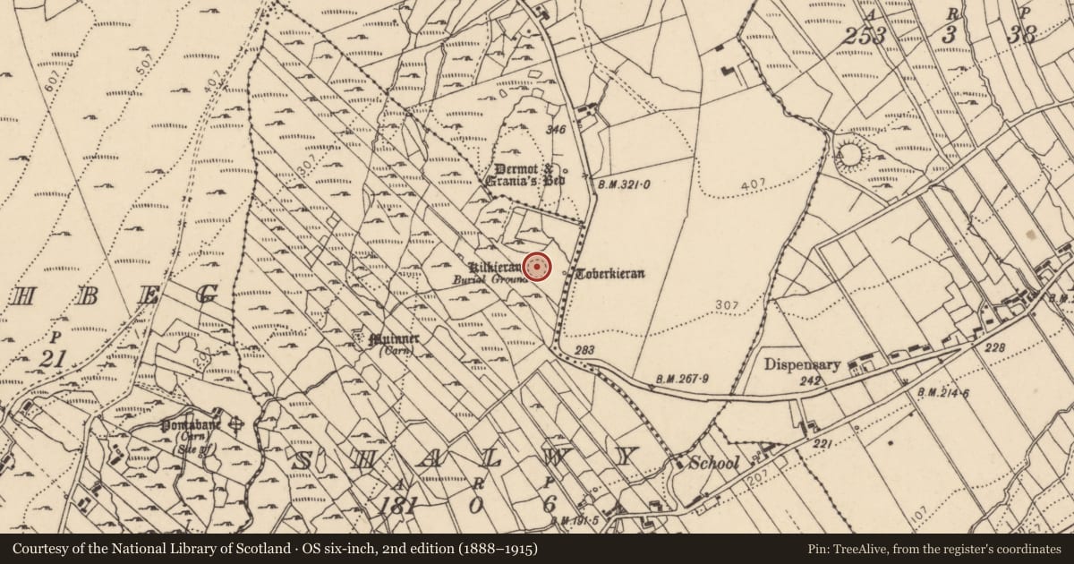 Ordnance Survey six-inch map, 2nd edition (1888–1915) covering the location of Penitential station, Shalwy, County Donegal, with a pin at the register's coordinates