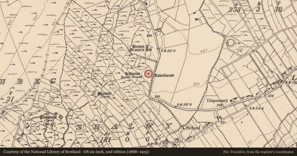 Ordnance Survey six-inch map, 2nd edition (1888–1915) covering the location of Ritual site - holy/saint's stone, Shalwy, County Donegal, with a pin at the register's coordinates