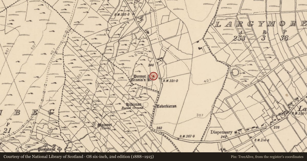 Ordnance Survey six-inch map, 2nd edition (1888–1915) covering the location of Megalithic tomb - court tomb, Bavan, County Donegal, with a pin at the register's coordinates