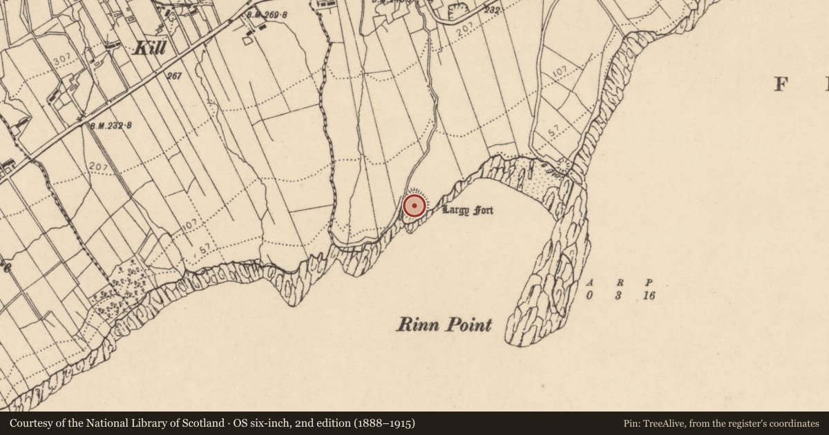 Ordnance Survey six-inch map, 2nd edition (1888–1915) covering the location of Enclosure, Largysillagh, County Donegal, with a pin at the register's coordinates