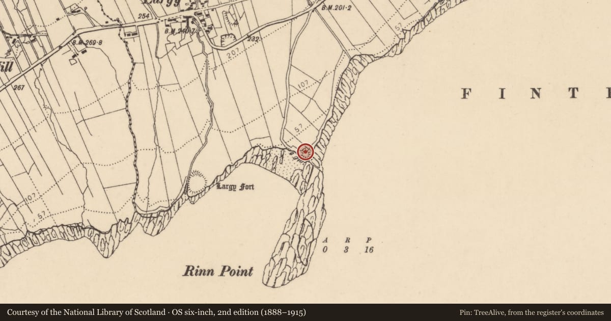 Ordnance Survey six-inch map, 2nd edition (1888–1915) covering the location of Enclosure, Largysillagh, County Donegal, with a pin at the register's coordinates