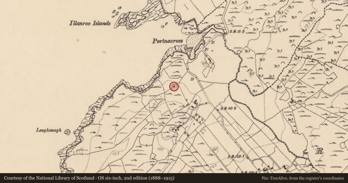 Ordnance Survey six-inch map, 2nd edition (1888–1915) covering the location of Ringfort - cashel, Drumanoo, County Donegal, with a pin at the register's coordinates