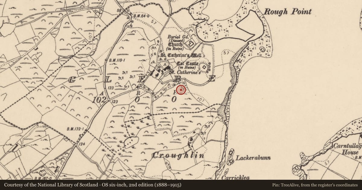 Ordnance Survey six-inch map, 2nd edition (1888–1915) covering the location of Enclosure, Glebe, County Donegal, with a pin at the register's coordinates