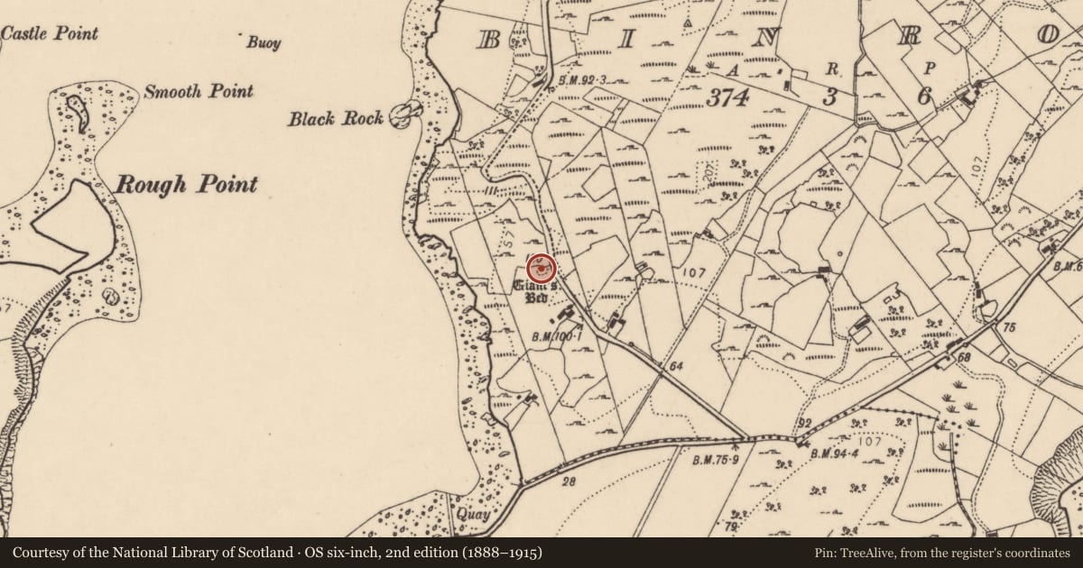 Ordnance Survey six-inch map, 2nd edition (1888–1915) covering the location of Megalithic tomb - court tomb, Binroe, County Donegal, with a pin at the register's coordinates
