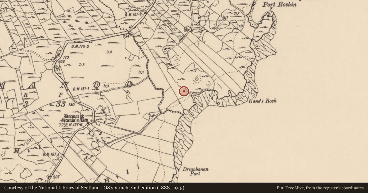 Ordnance Survey six-inch map, 2nd edition (1888–1915) covering the location of Megalithic tomb - unclassified, Roshin, County Donegal, with a pin at the register's coordinates