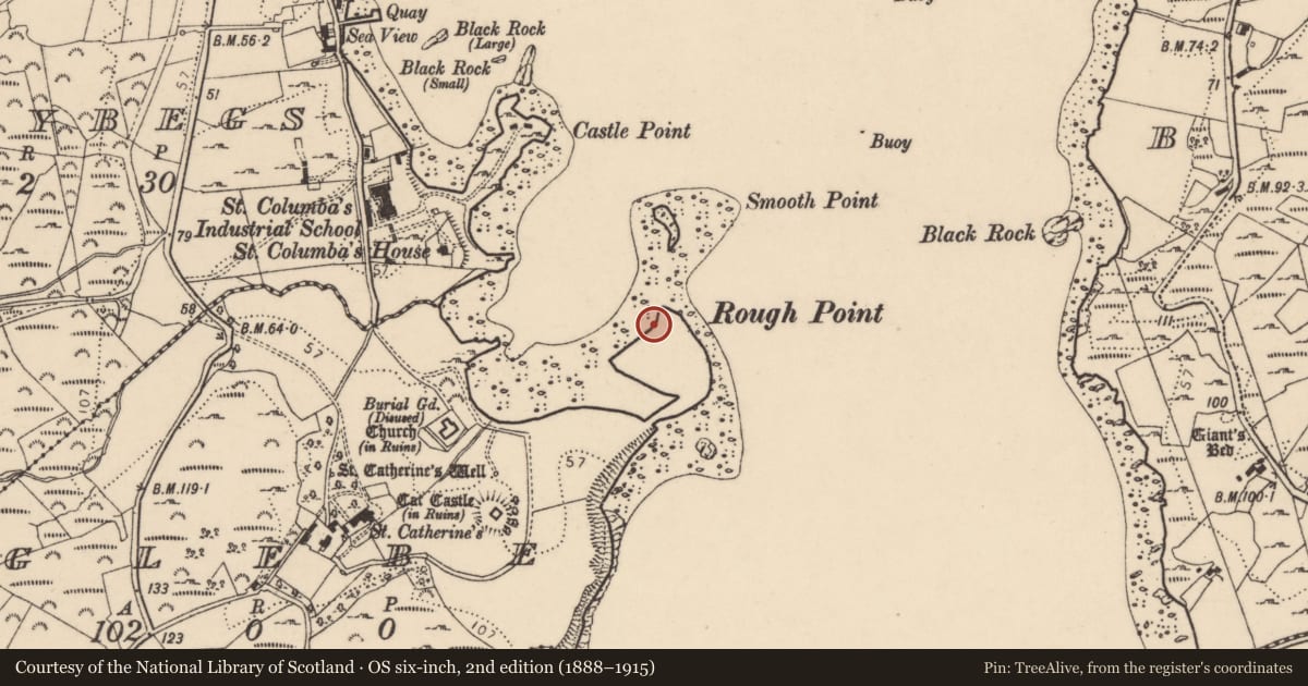 Ordnance Survey six-inch map, 2nd edition (1888–1915) covering the location of Building, Glebe, County Donegal, with a pin at the register's coordinates